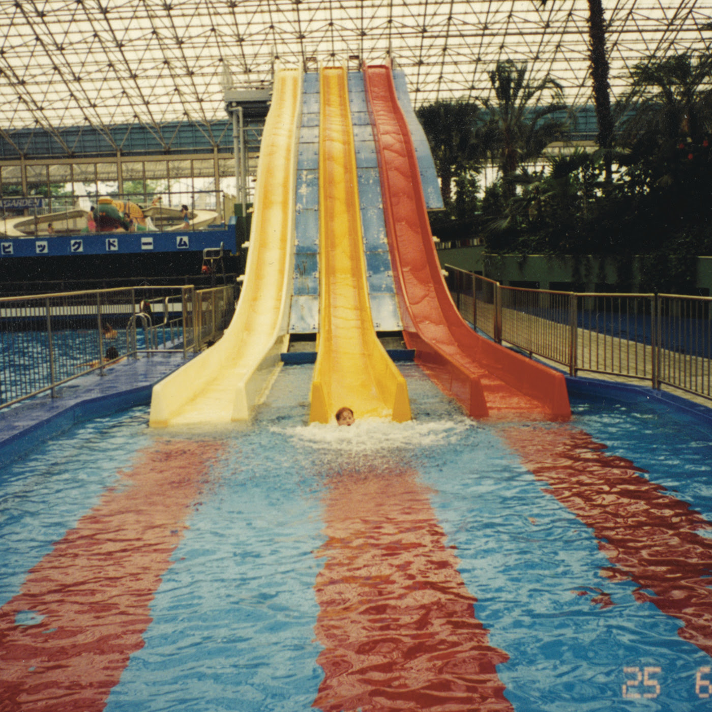 Dave-Harrington-Group-Become-Alive